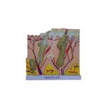 Dermatude Skin Block – Bild 2
